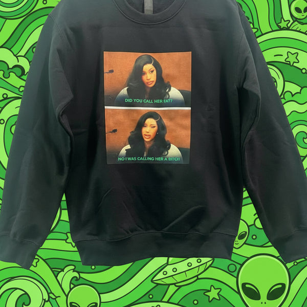 Did You Call Her Fat sweatshirt, Aliens of Brooklyn